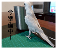 842613487