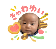 842613497