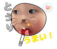842613705