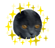 842614164