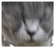 842614167