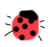 842614311