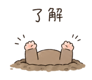 842614687