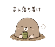 842614700