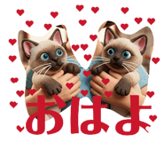 842615081