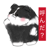 842615215