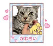 842615656