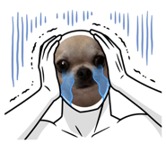 842615823