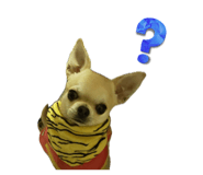 842615824