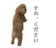 842615843