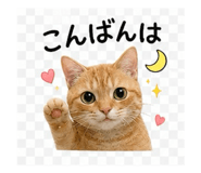842616107