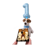 842616128