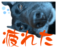 842616226
