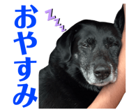 842616228