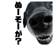 842616240