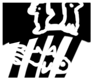 842616347