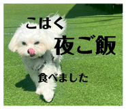 842616408