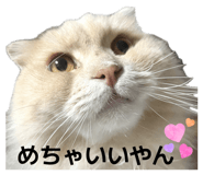 842616510