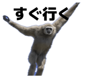 842616557
