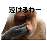 842616561