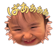 842616638