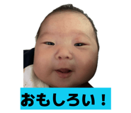 842616827