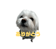 842616995