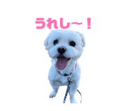 842617007