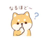 842617527