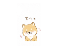 842617777