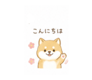842617787