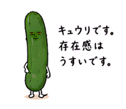 842617977