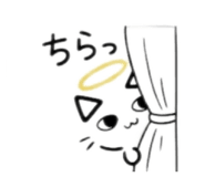 842618333