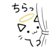 842618334