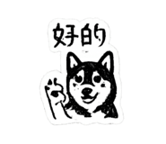 842619393