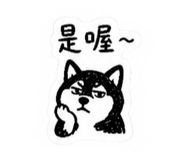 842619445