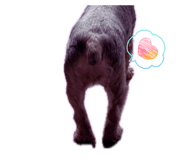 842619936