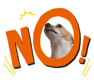 842620057