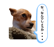 842620060