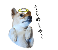 842620062