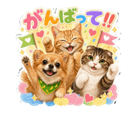 842620240