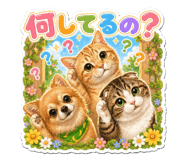 842620270