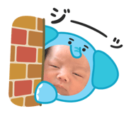 842620685
