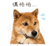 842621020