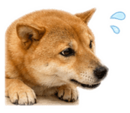 842621028