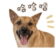 842621645