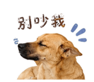 842621652