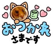 842621993