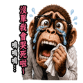 842622083