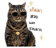 842622344